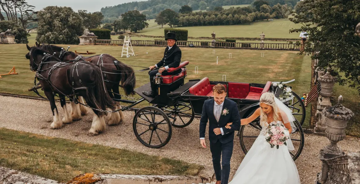 The Joyous Celebration of the Ryan Wedding