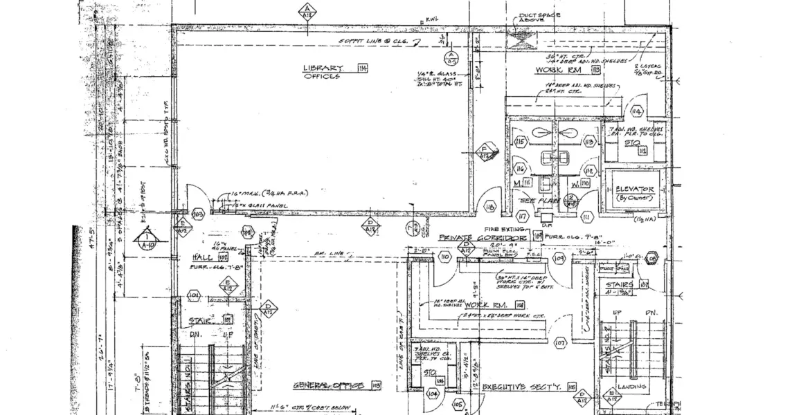 The Importance of Shares in Today’s Investment Landscape