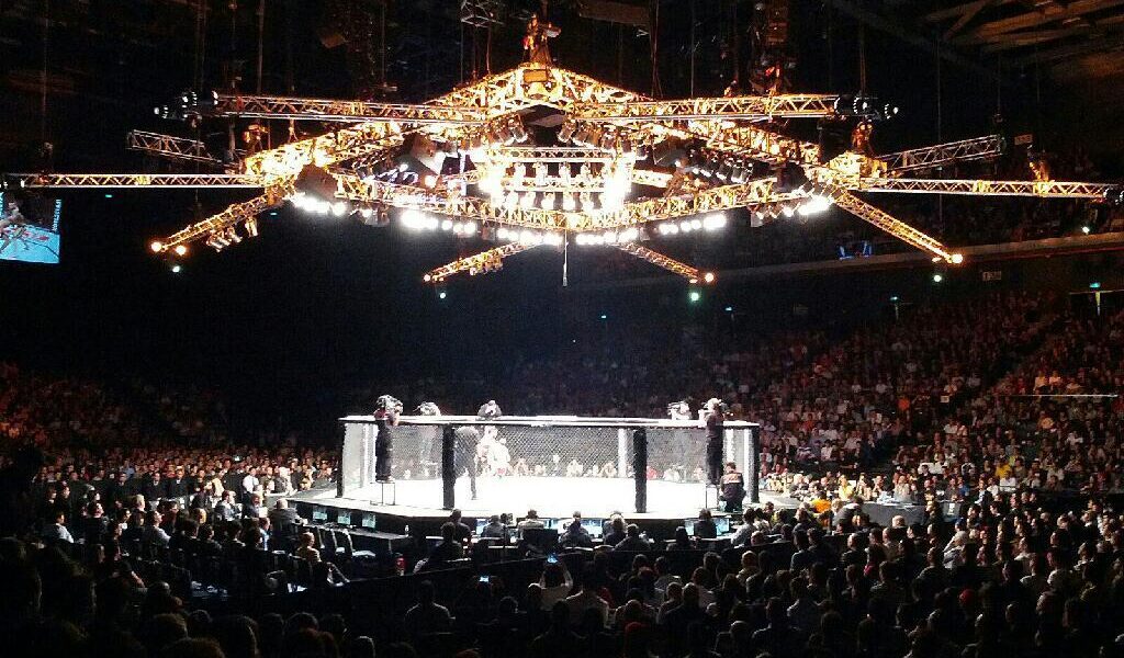 The Significance of the UFC Octagon in Mixed Martial Arts