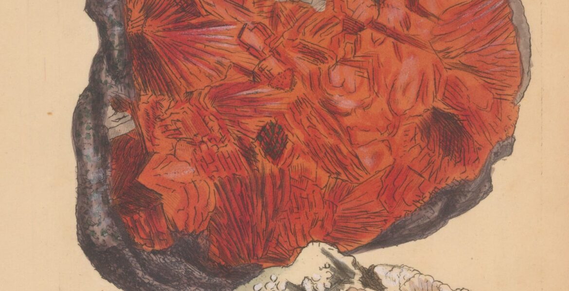 Economic Forecasts for 2024: What Will Still Hold True