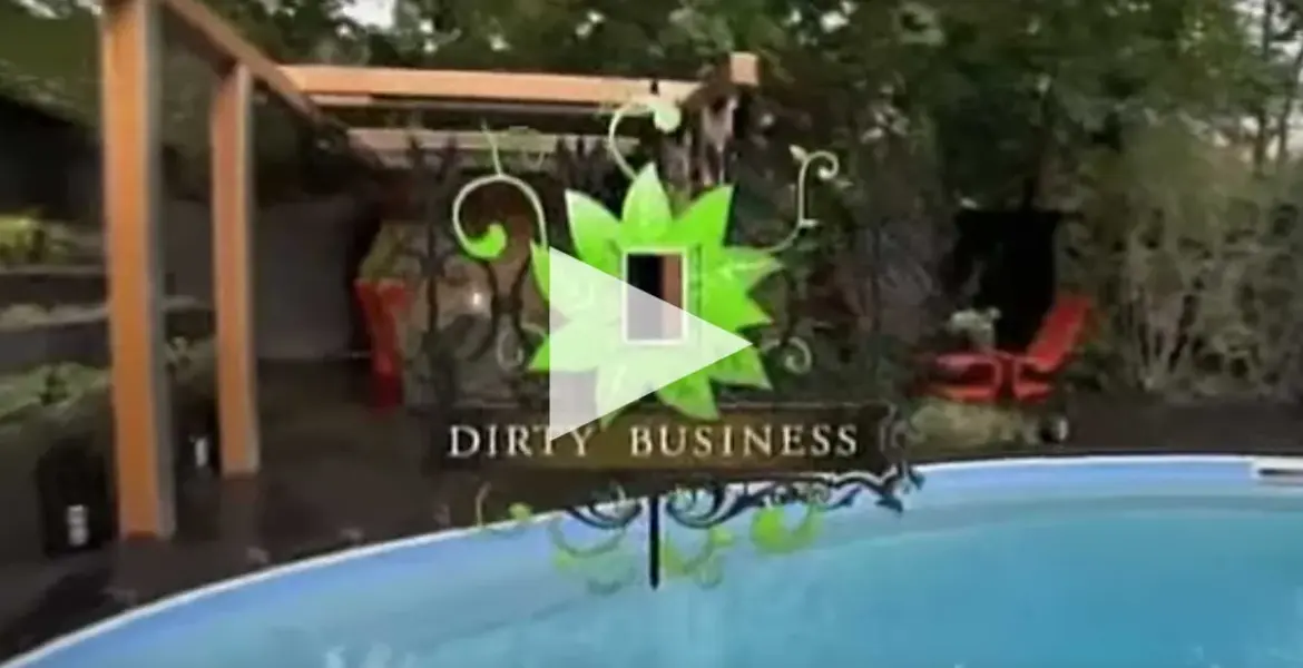 dirty business channel 4 — GB news