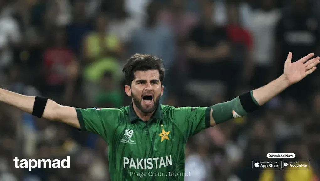 shaheen afridi — GB news