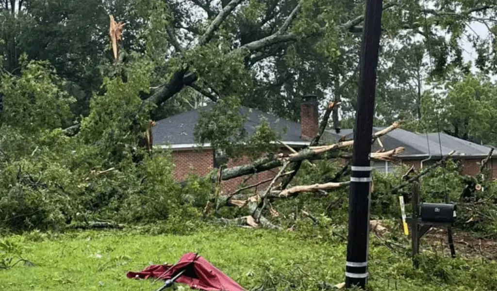 storm hernando — GB news