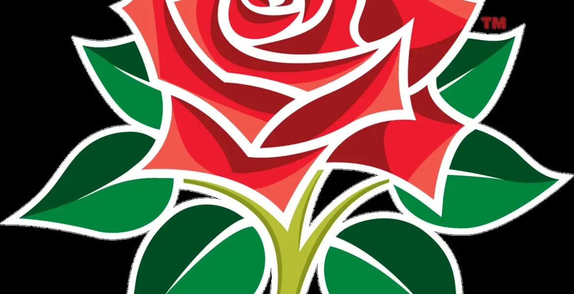 t20 world cup — GB news