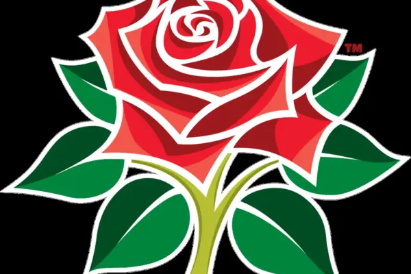 t20 world cup — GB news