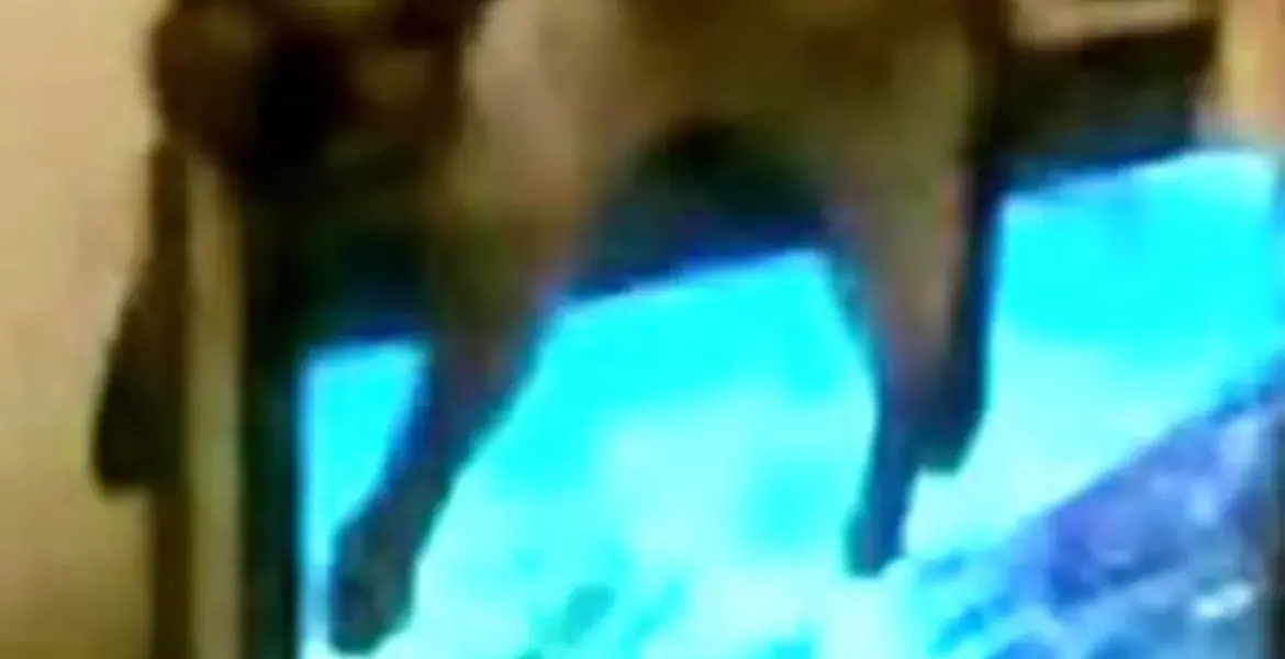 whats on tv tonight — GB news