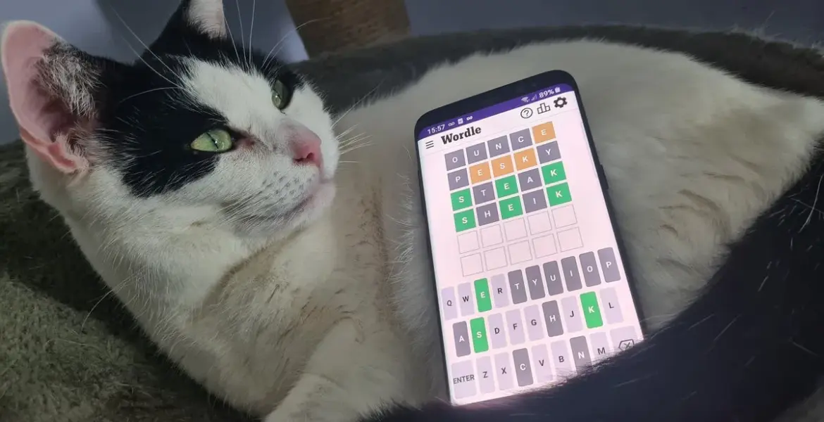 wordle hint — GB news