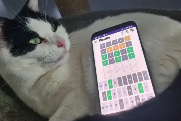 wordle hint — GB news