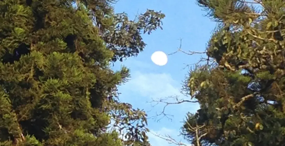 alberto montes — GB news