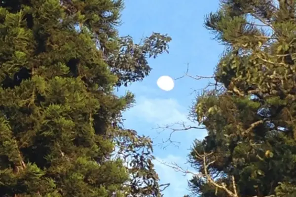 alberto montes — GB news