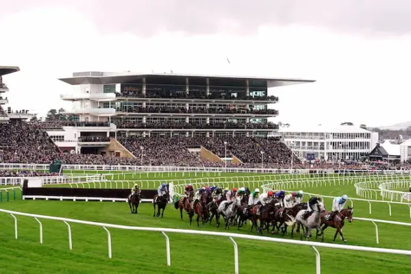 cheltenham gold cup 2026 — GB news