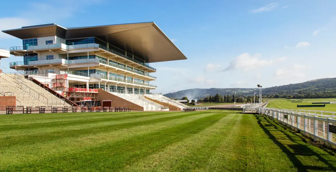 cheltenham races — GB news