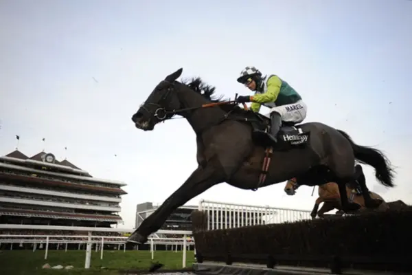 cheltenham results today — GB news