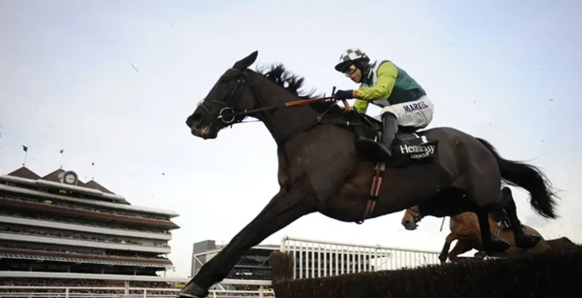 cheltenham results today — GB news