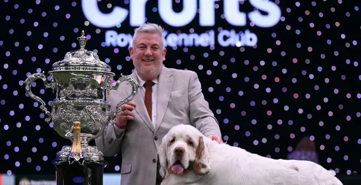 clumber spaniel crufts winner — GB news