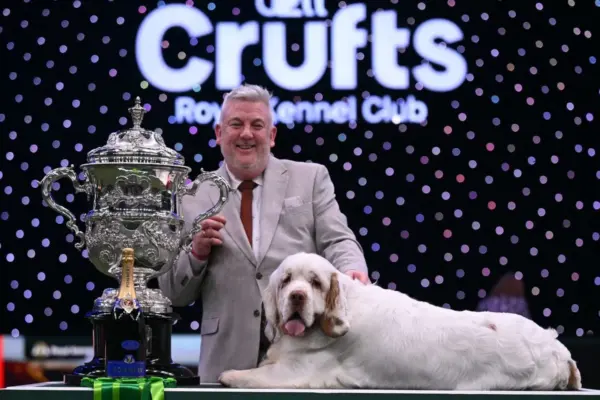 clumber spaniel crufts winner — GB news