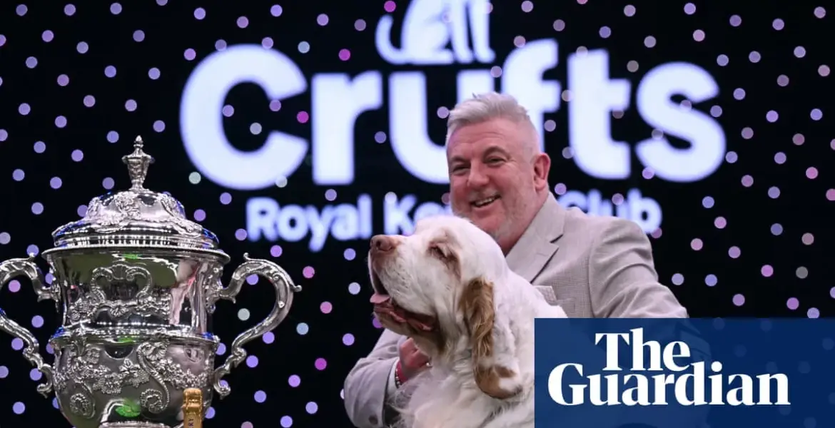 clumber spaniel — GB news