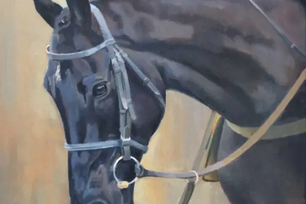 galopin des champs — GB news