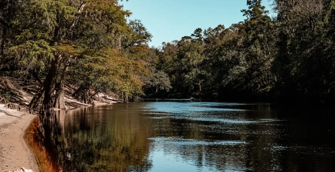 gibson park — GB news