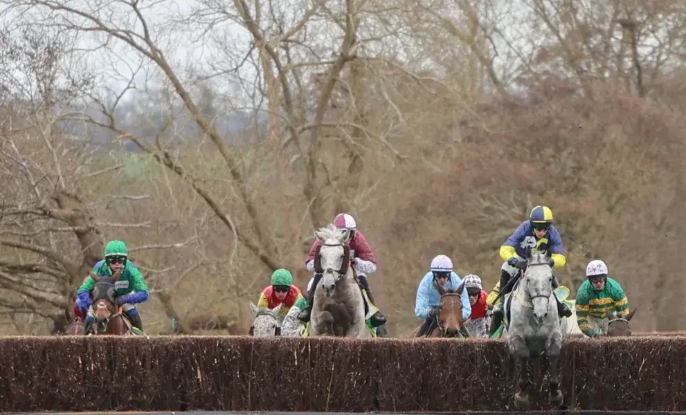 grand national 2026 — GB news