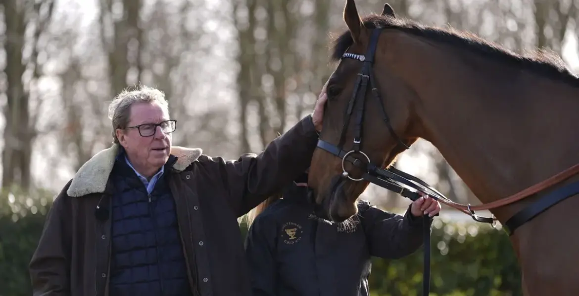 harry redknapp horses running today — GB news