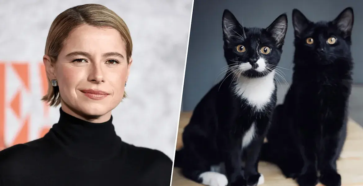 jessie buckley husband — GB news