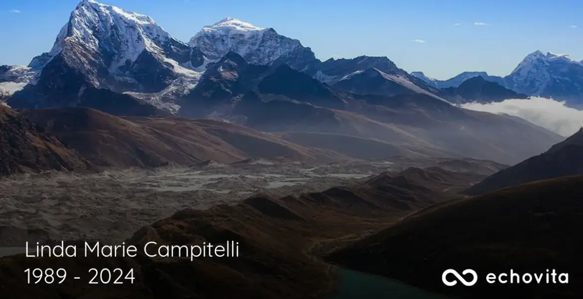 linda campitelli — GB news