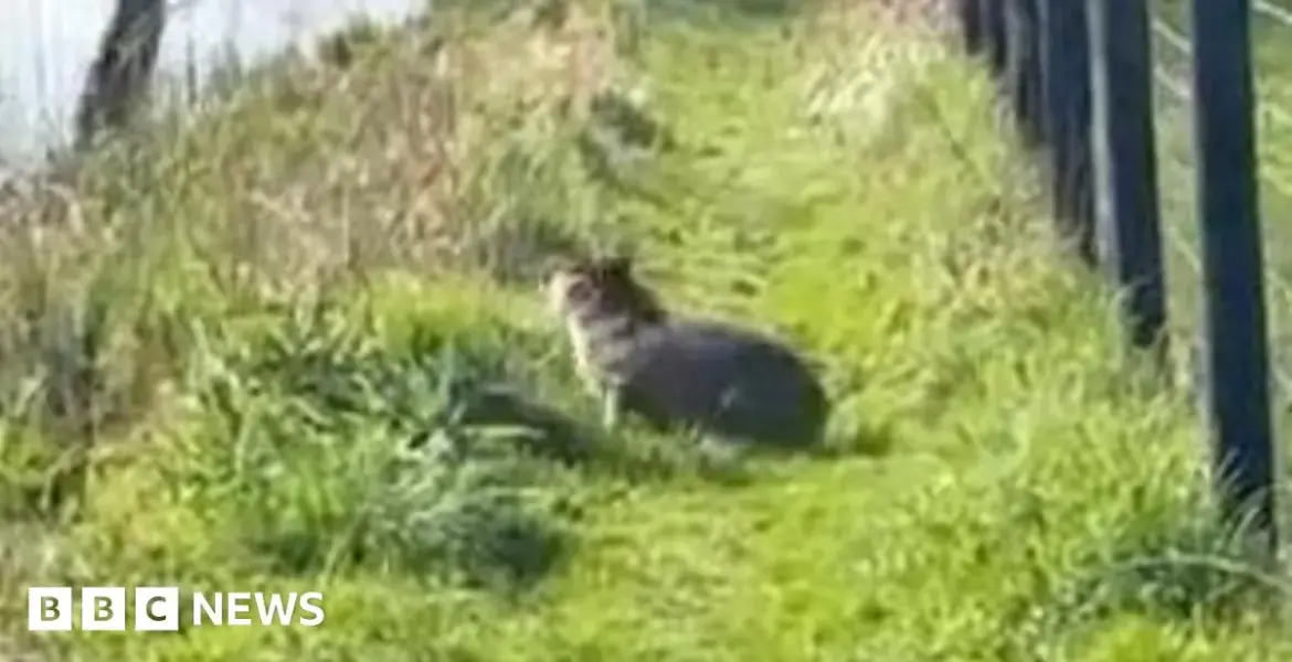 marwell zoo — GB news