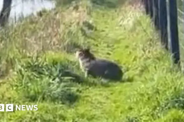 marwell zoo — GB news