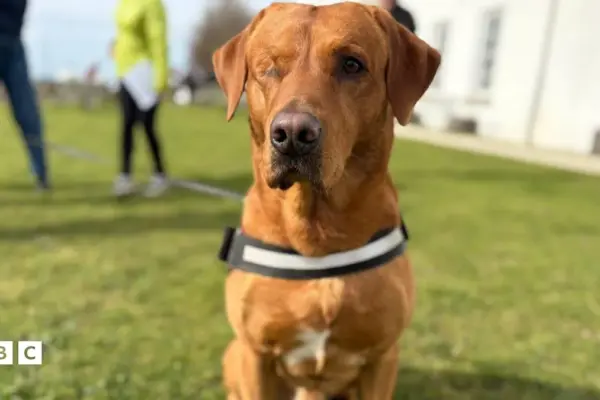 newsround — GB news