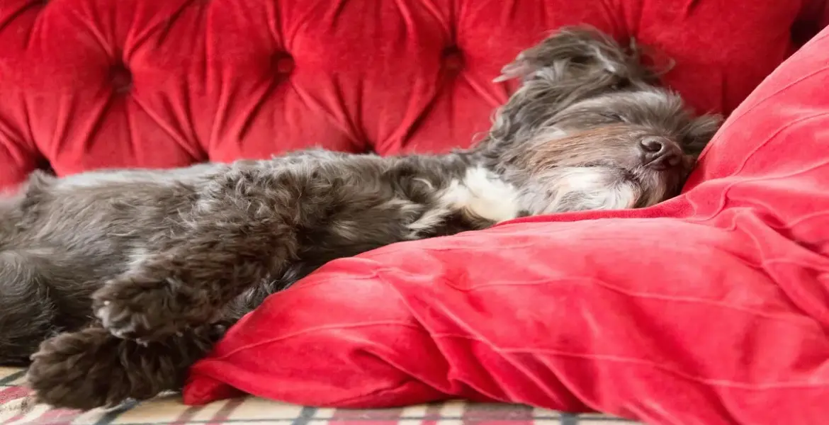 uk bank holidays — GB news