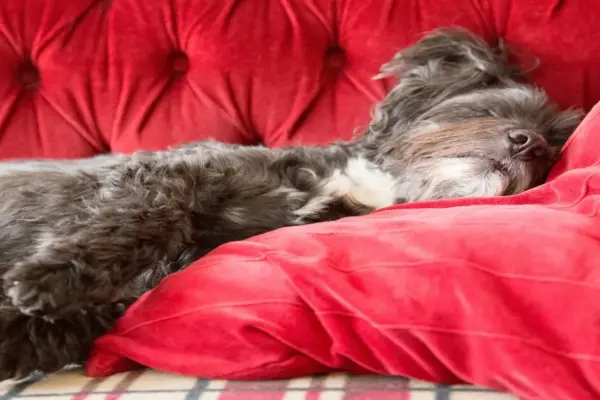 uk bank holidays — GB news