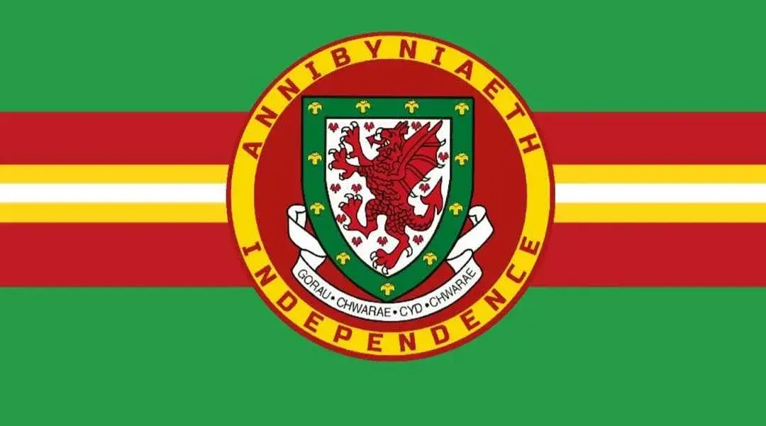 wales football — GB news
