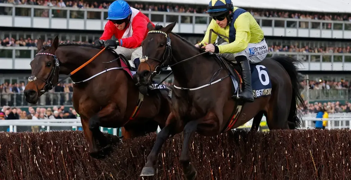 watch cheltenham races — GB news