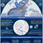 atlantic meridional overturning circulation — GB news