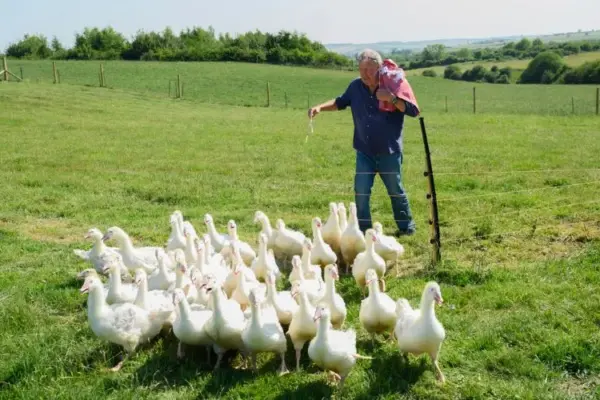 clarkson's farm season 5 date — GB news