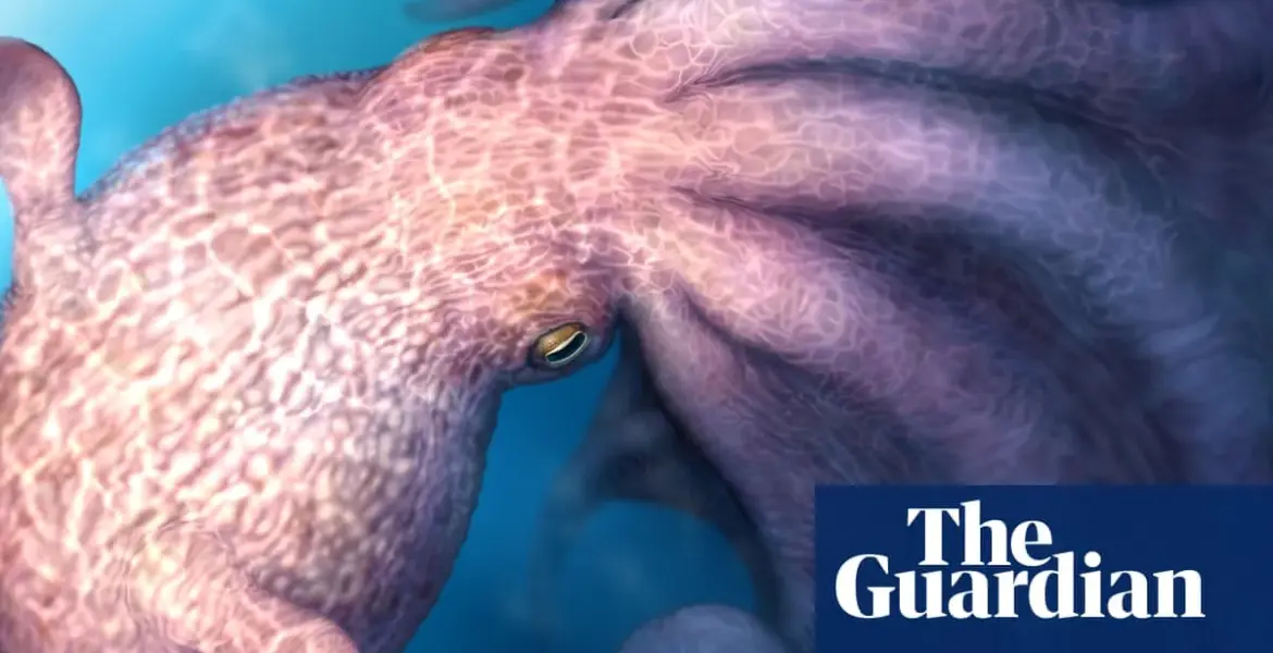 giant octopus — GB news