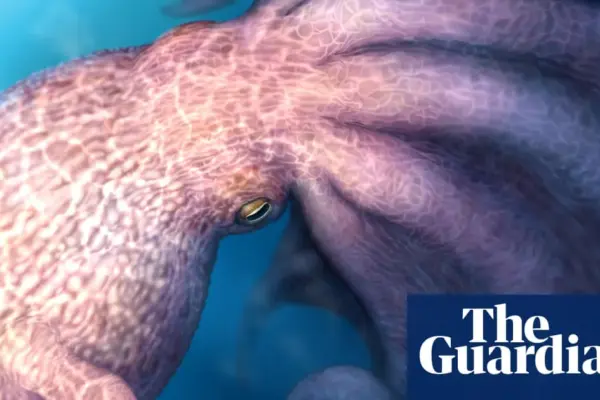 giant octopus — GB news