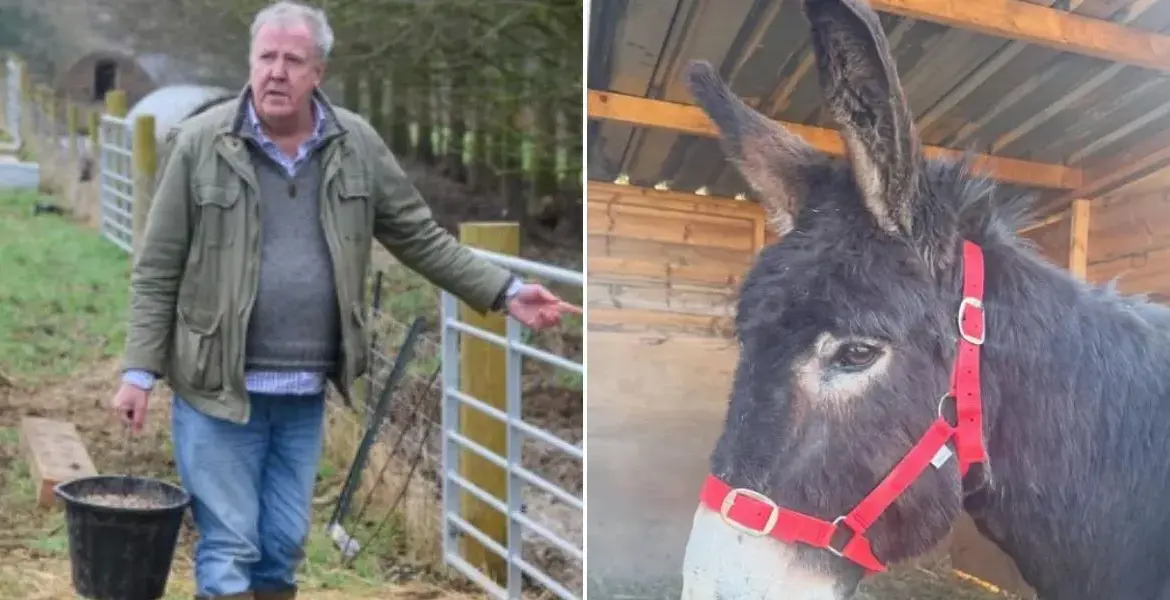 jeremy clarkson — GB news