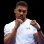 joshua fury fight plans — GB news
