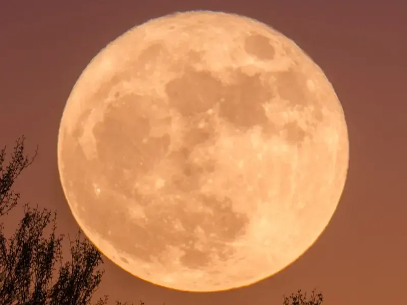 moon tonight — GB news