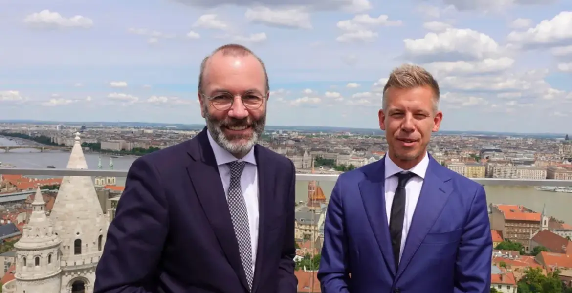 peter magyar — GB news