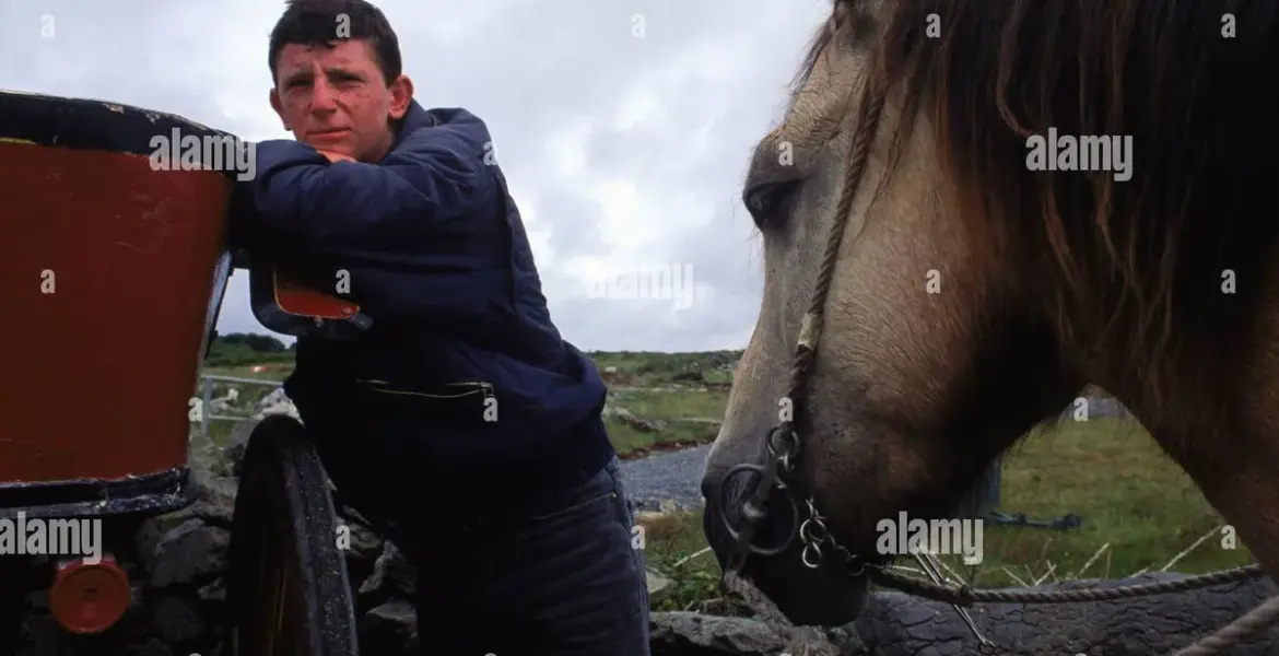 pony and trap — GB news