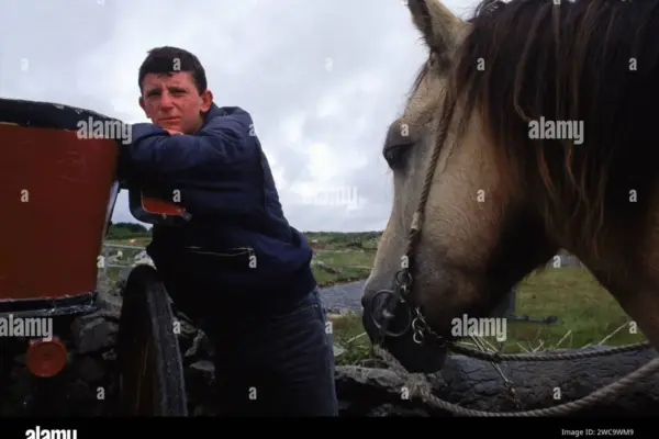 pony and trap — GB news