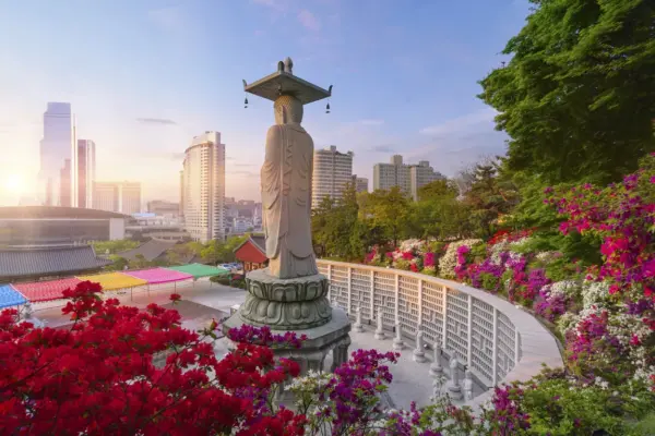 south korea — GB news