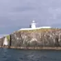 farne islands — GB news