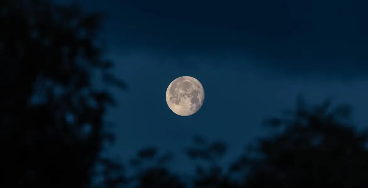 flower moon — GB news