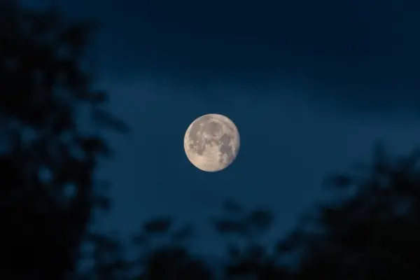 flower moon — GB news